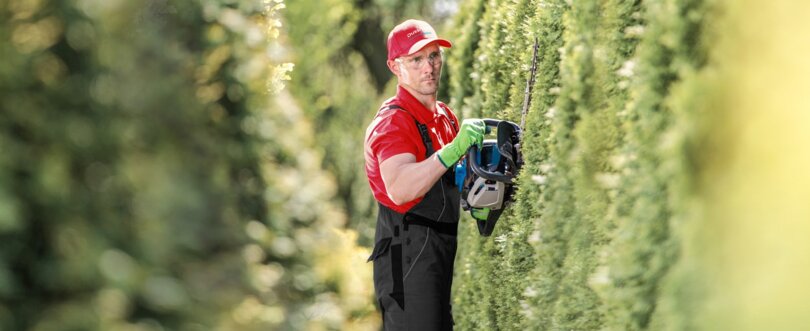 Gärtner schneidet Hecke 