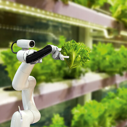 Roboter hält Salat