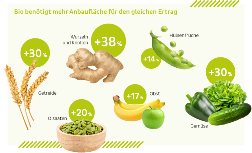 Bio benötigt mehr Anbaufläche für den gleichen Ertrag (Quelle: Zukunftsreport)