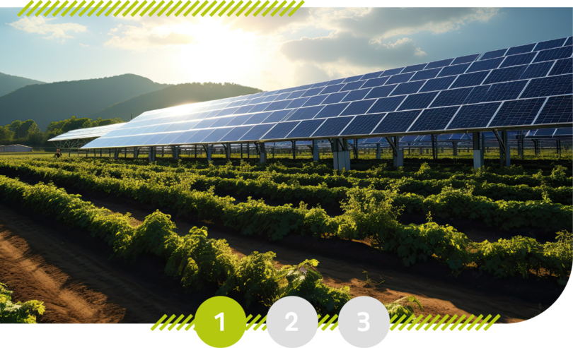 Solarpanel auf einem Feld